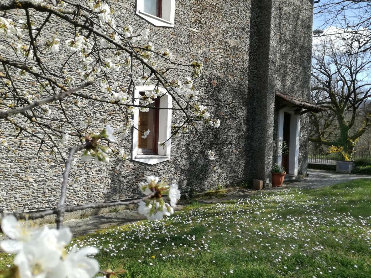 Casa Nel Verde Decollatura Bagian luar foto