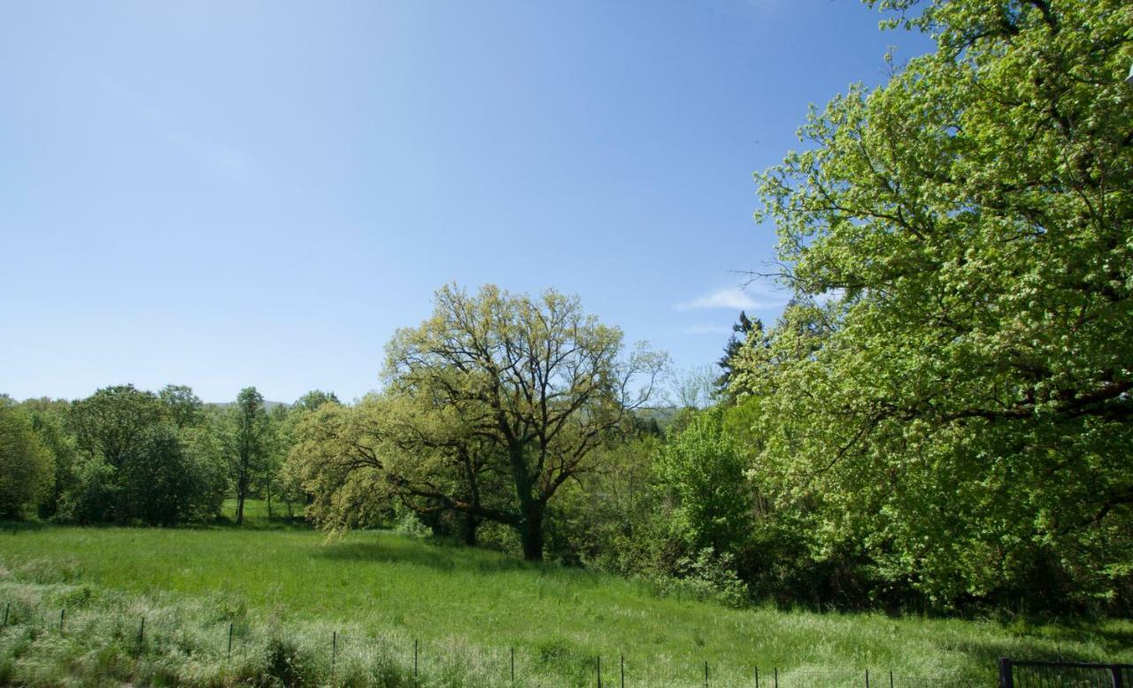 Casa Nel Verde Decollatura Bagian luar foto