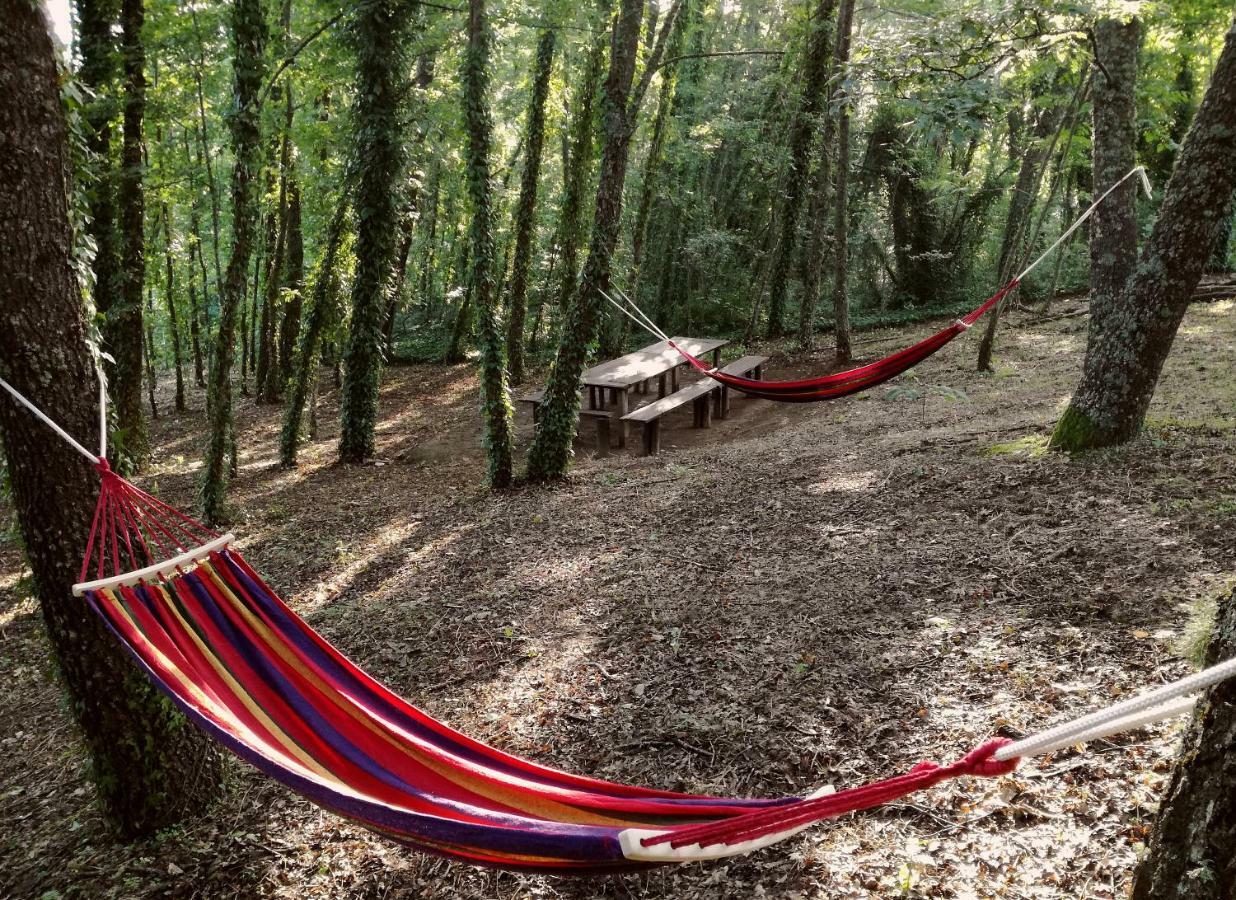 Casa Nel Verde Decollatura Bagian luar foto
