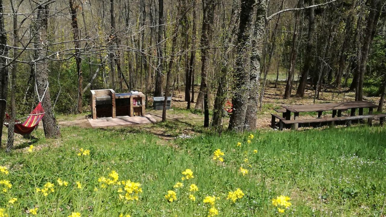 Casa Nel Verde Decollatura Bagian luar foto